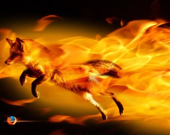 flaming foxes.jpg